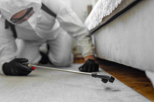 Professional Termite Control technician working in Fayette, IA